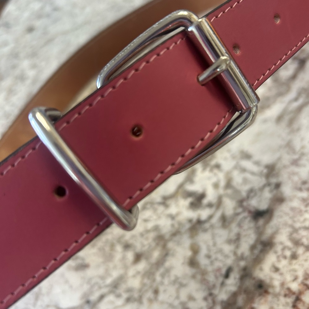 Banana Republic Pink Leather Belt